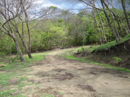 Beach investment opportunity for development land and hotel, Naranjo, Puntarenas: Beach investment opportunity for development land and hotel, Naranjo, Puntarenas