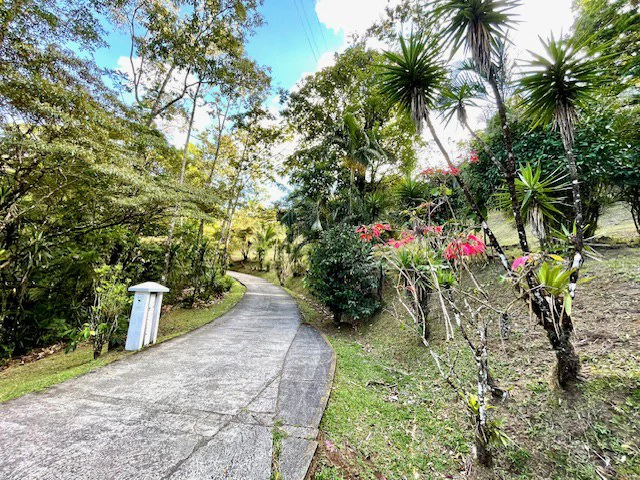 LG-002 Terreno Top Nuevo Arenal: Premium 1.45-Acre Gated Homesite in Nuevo Arenal | Panoramic Lake & Volcano Views, Private Boat Dock & Clubhouse - Gallery image 26