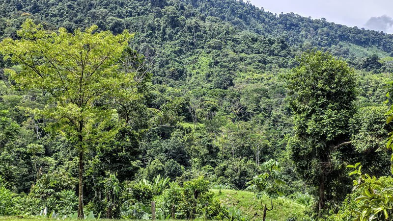 Waterfall Estate, Dos Bocas, Dominical Featuring Twin Waterfalls, Springs, Creeks & Rivers - Gallery image 40