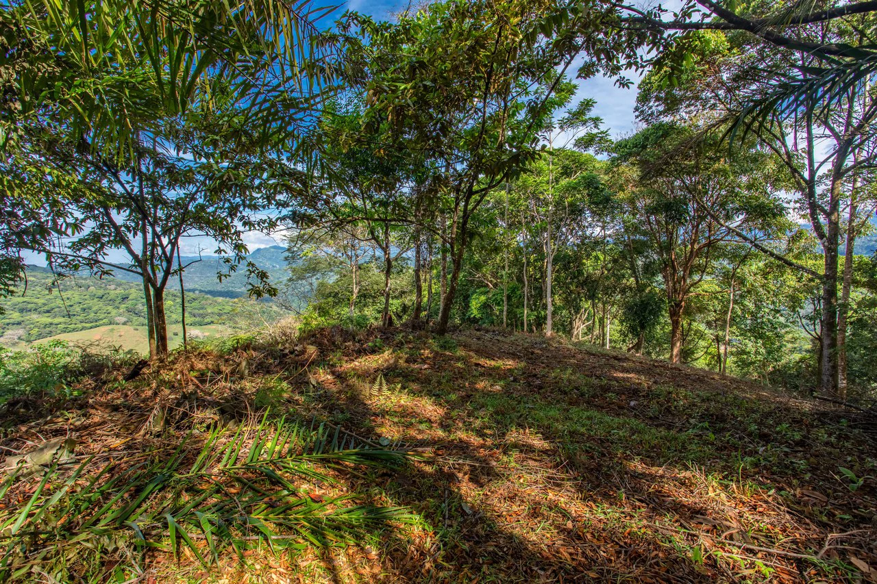 2.9 Acre Paradise with Diamante Valley Views Dominical - Gallery image 9