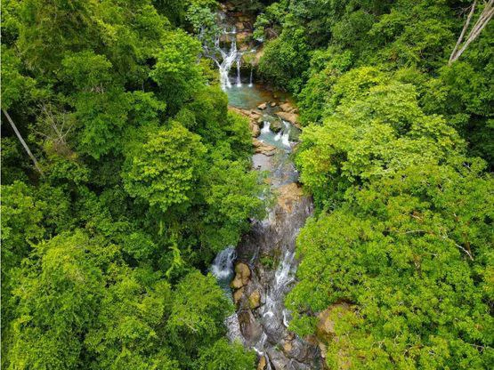 INCREDIBLE ECOLOGICAL PROPERTY WITH 4 SPECTACULAR WATERFALLS - Gallery image 19