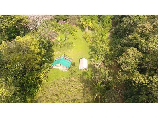 Finca Nanabri: Farm and Ecotourism Land for Sale in Penshurst - Gallery image 6