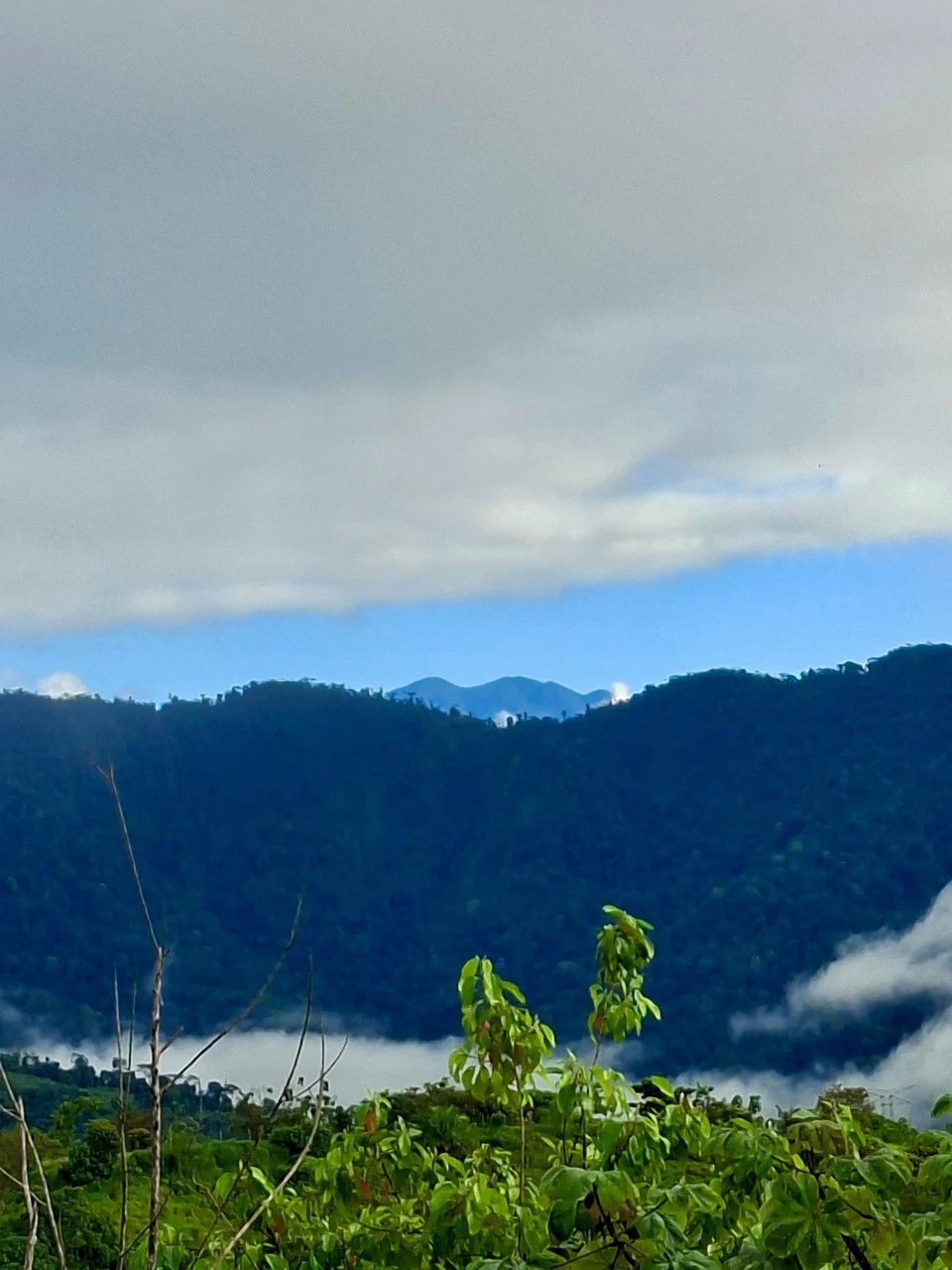 Off-Grid Ocean View Lot | 1.7 Acres in Las Nubes Matapalo Hills - Gallery image 17