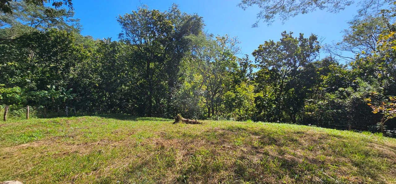 Nature's Gateway: Smart Choice Mixed-Use Property Near Carrillo Beach: Countryside Home Construction Site For Sale in Playa Carrillo - Gallery image 5