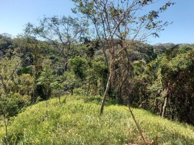 Building Lots for sale in a pristine and peacefull woodland 3 km from Samara Beach - Gallery image 5