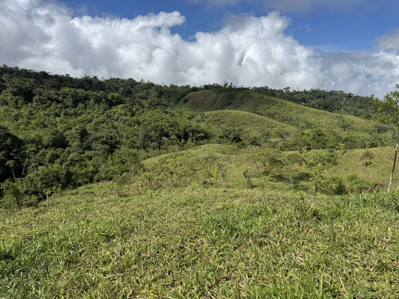 47 Acre Off Grid Ranch with Ocean & Mountain Views San Lorenzo Perez Zeledón - Gallery image 29