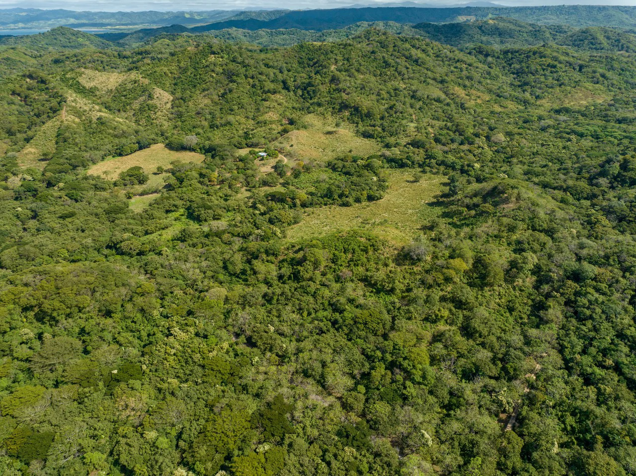 220 Acres Beachside Farm with Ocean View at Playa Junquillal in Guanacaste - Gallery image 34