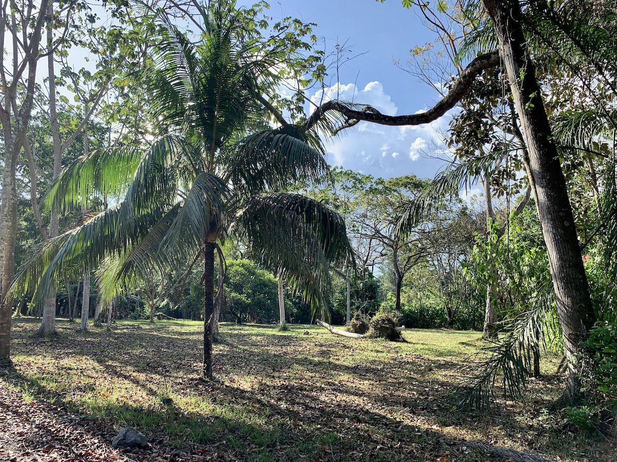 Beautiful Home and Property in Puerto Jiménez Osa Peninsula - Gallery image 25