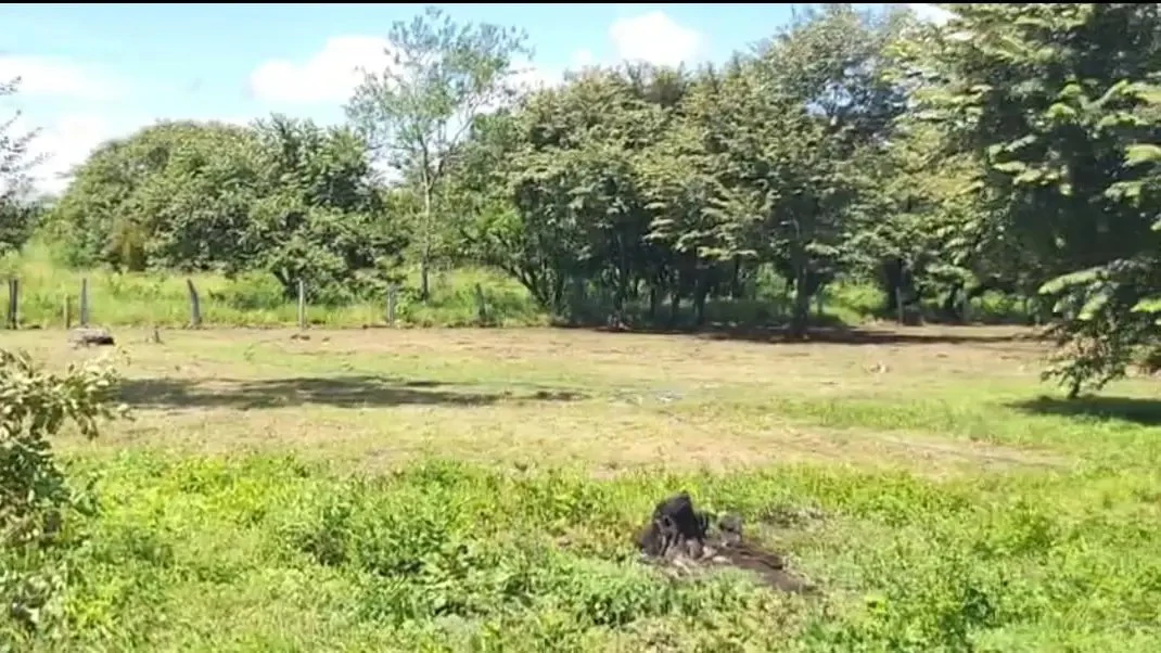 Prime Land in La Fortuna, Bagaces - Build Your Dream Home! - Gallery image 6