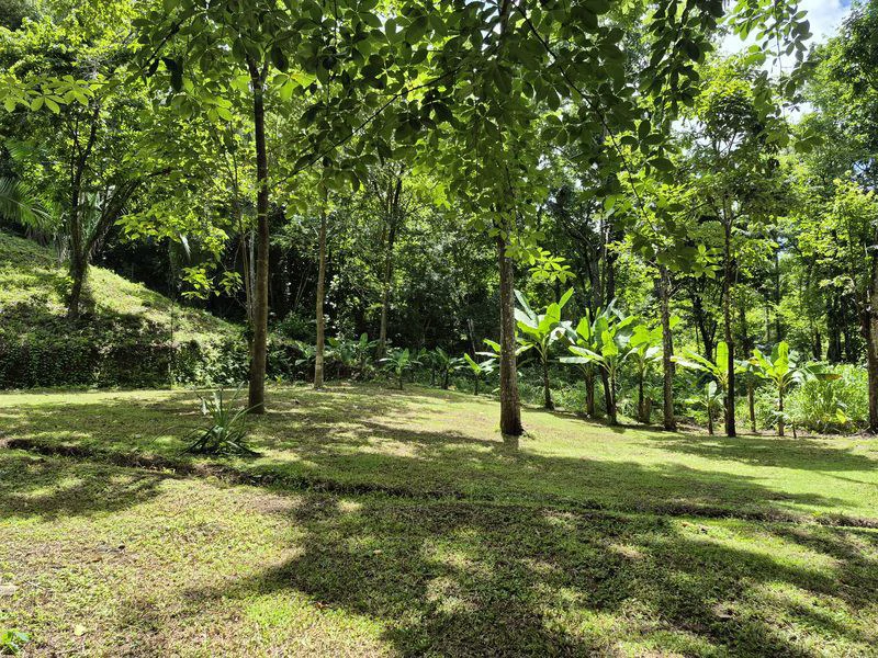 Entre Palmas Retreat: Near the Coast House For Sale in Playa Samara - Gallery image 33