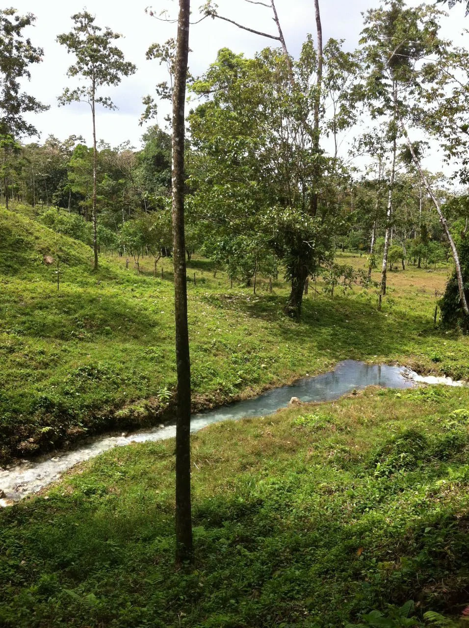 Cold & Hot springs surrounded by an overgrown farm, taken back by nature - Gallery image 76