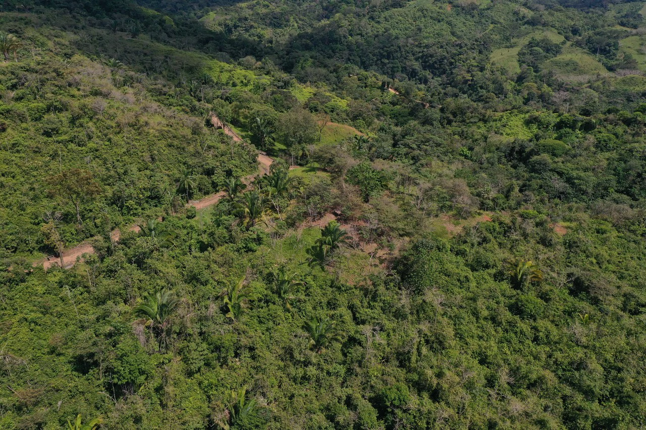 12 Acre Farm in Private Agricultural Community South of Ojochal - Gallery image 7