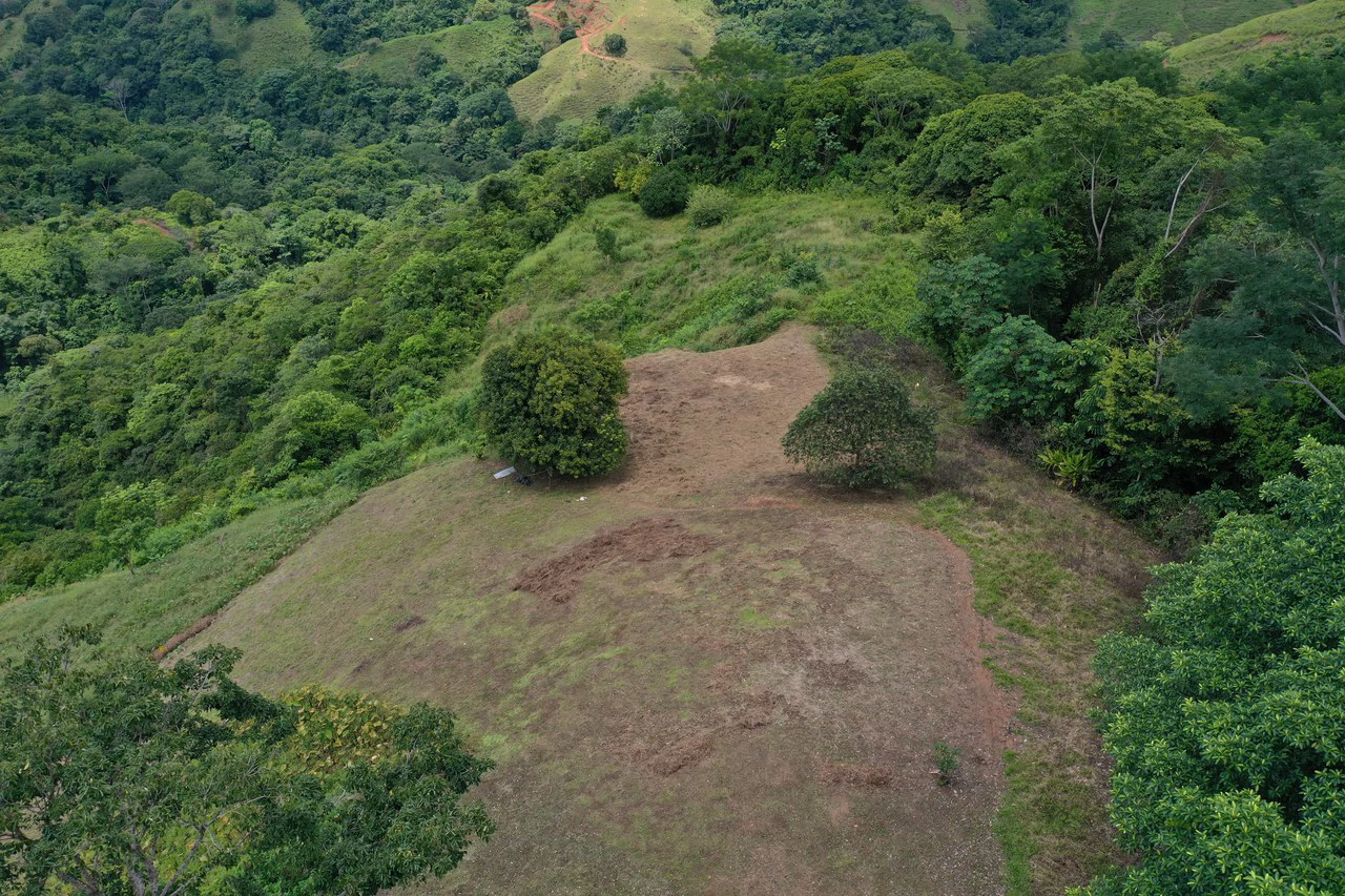 137 Acre Ocean View Farm with Riverfront in Southern Costa Rica - Gallery image 6