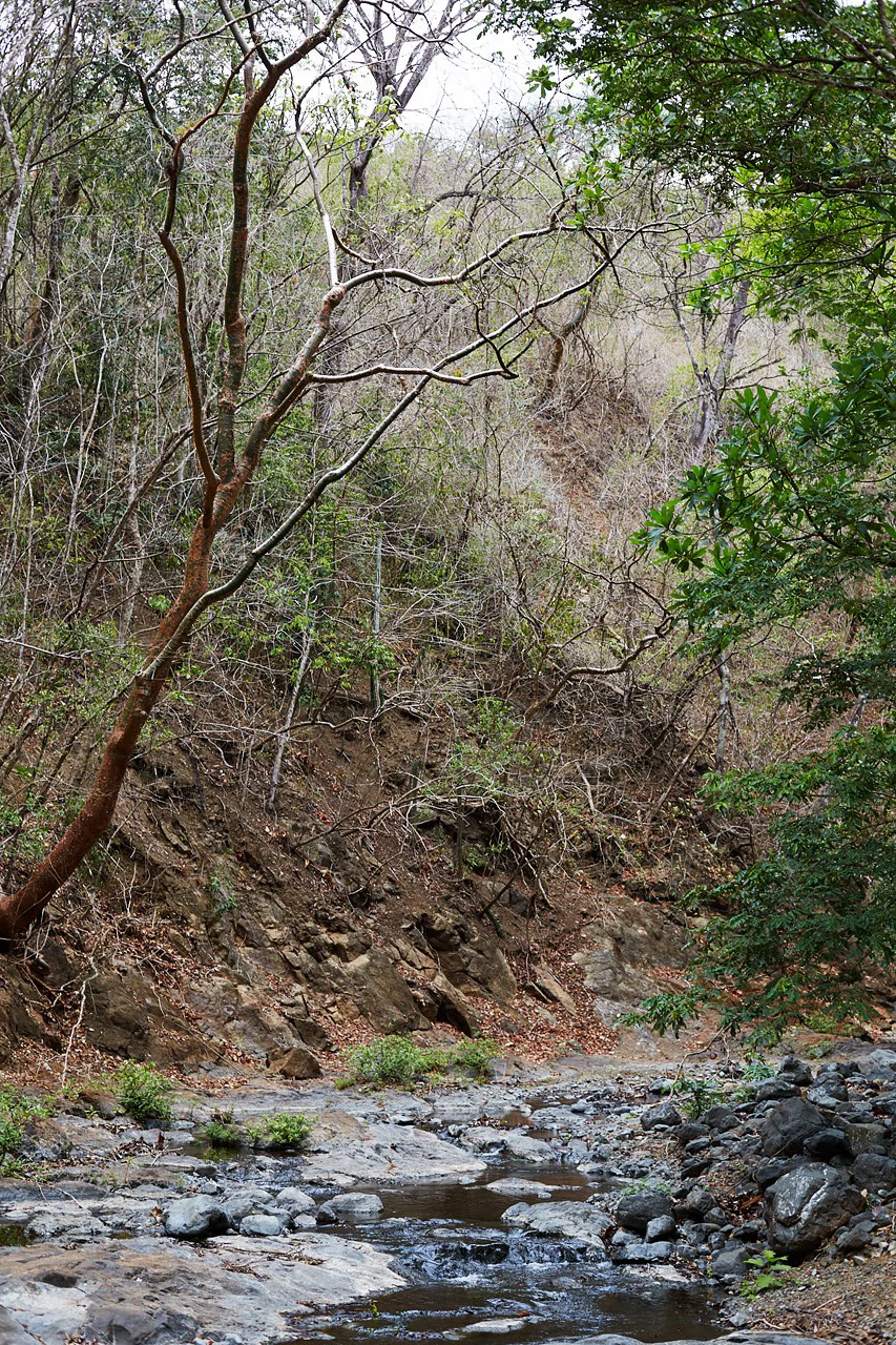 Finca Gomez: 214 Hectares | Ocean Views, Rivers & Development Potential – Guanacaste - Gallery image 14