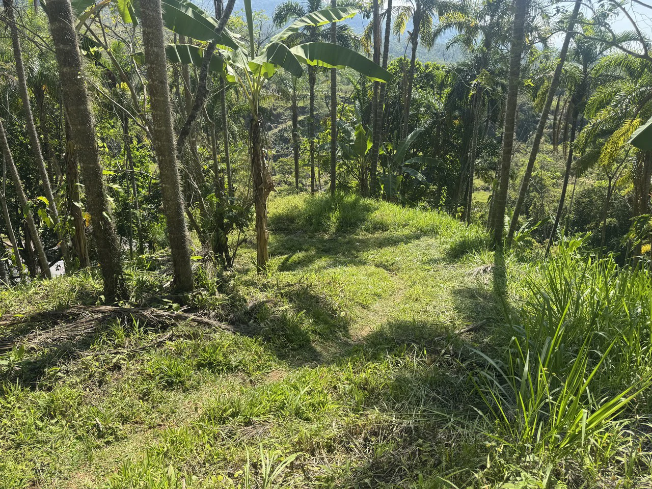 8 Acre Riverfront Sanctuary in San Pedrito Pérez Zeledón - Gallery image 24