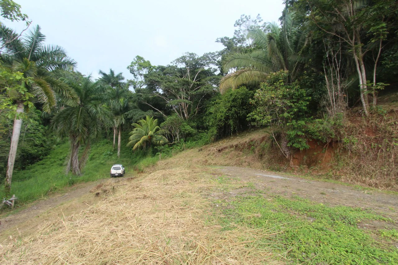 Whitewater Sunset Ocean View Lot Close to Dominical Beach - Gallery image 2