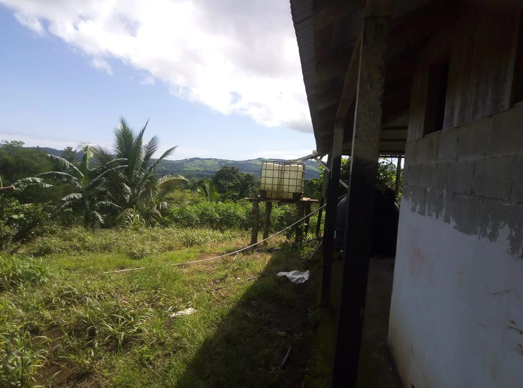 Agricultural farmland for sale in Aguas Claras, Alajuela, 1 house and many fruit trees - Gallery image 24