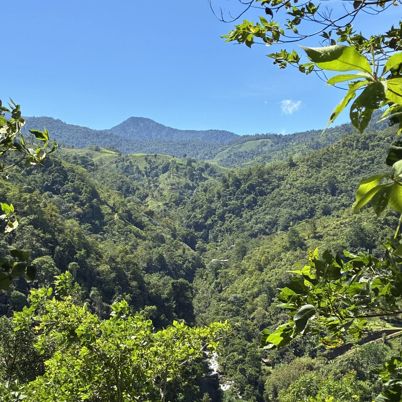 Breathtaking Mountain View Estate in Chimirol, Pérez Zeledón — 1.4 Hectares of Privacy, Nature & Potential: Mountain Home Construction Site For Sale in Chimirol - Gallery image 9