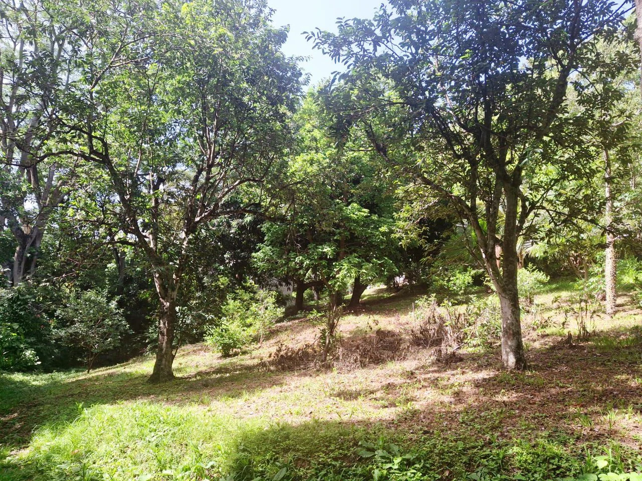 Casa Chalet...: Countryside House For Sale in Atenas - Gallery image 14