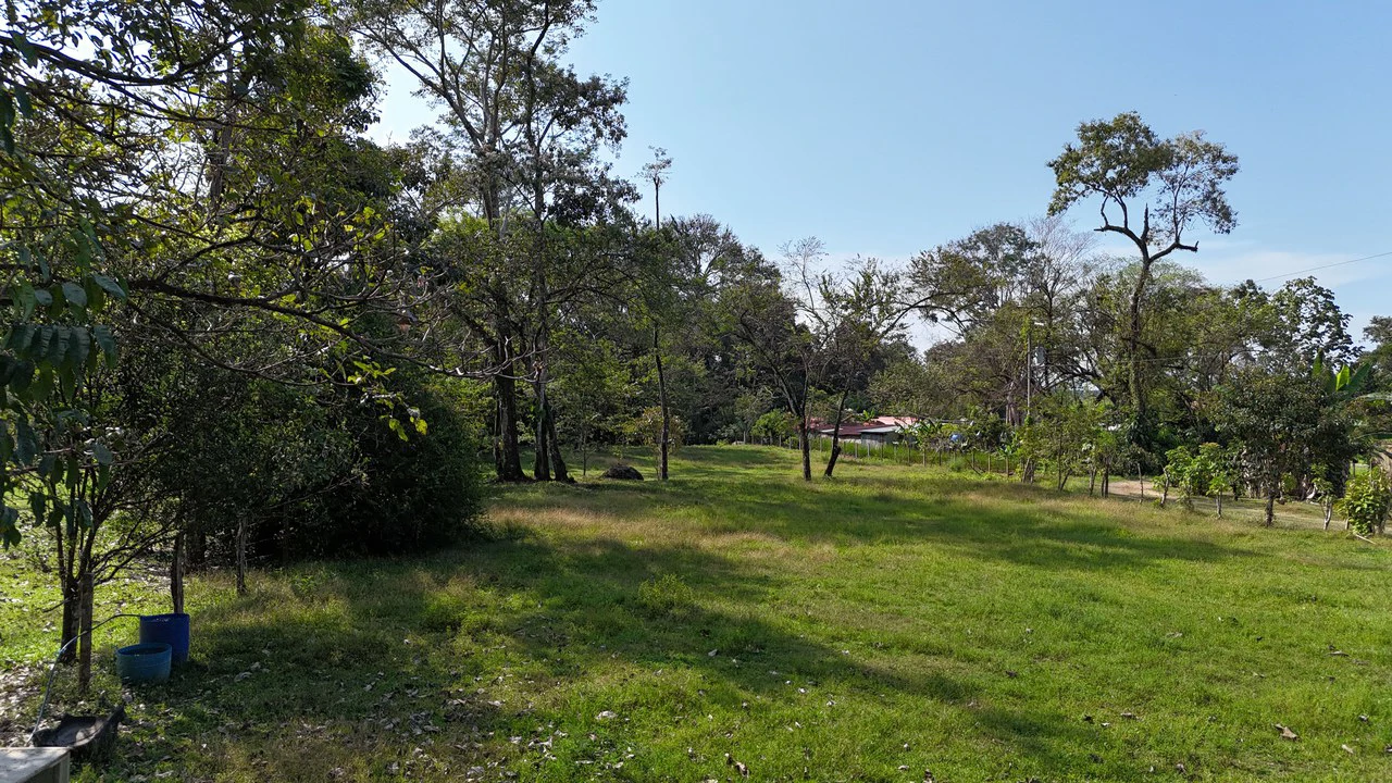 Prime Riverfront Property in Hatillo - Gallery image 4