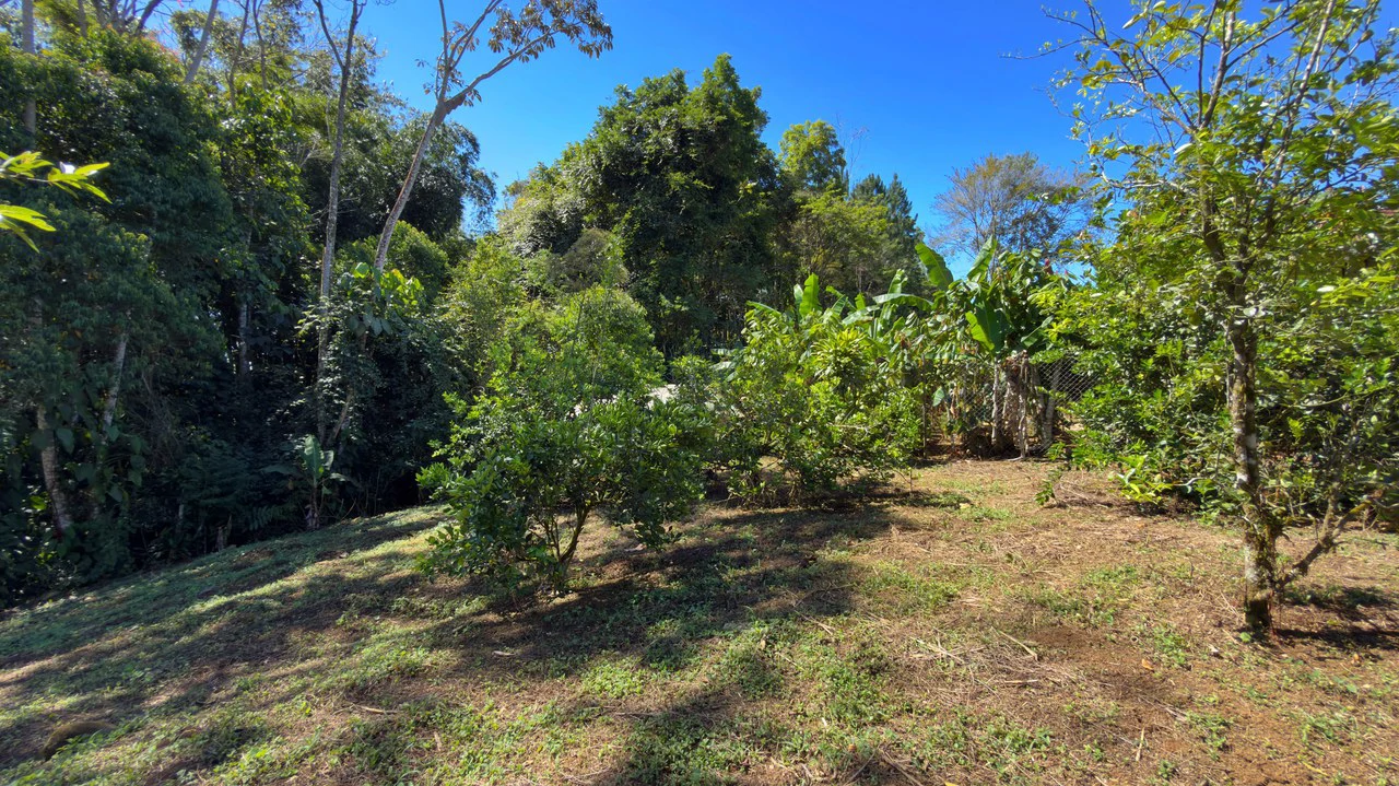 Countryside Home Construction Site For Sale in Santa Elena - Gallery image 3