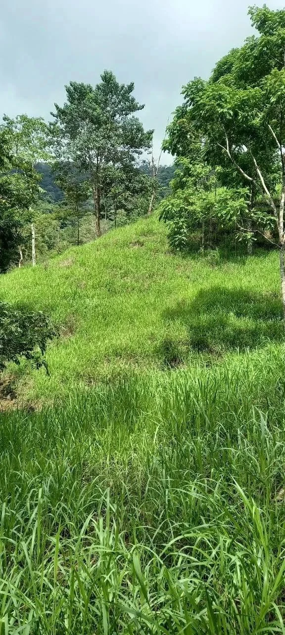 58 hectares: Ocean View Development Land for Sale in Tambor Costa Rica – 58 Hectares on the Nicoya Peninsula - Gallery image 13