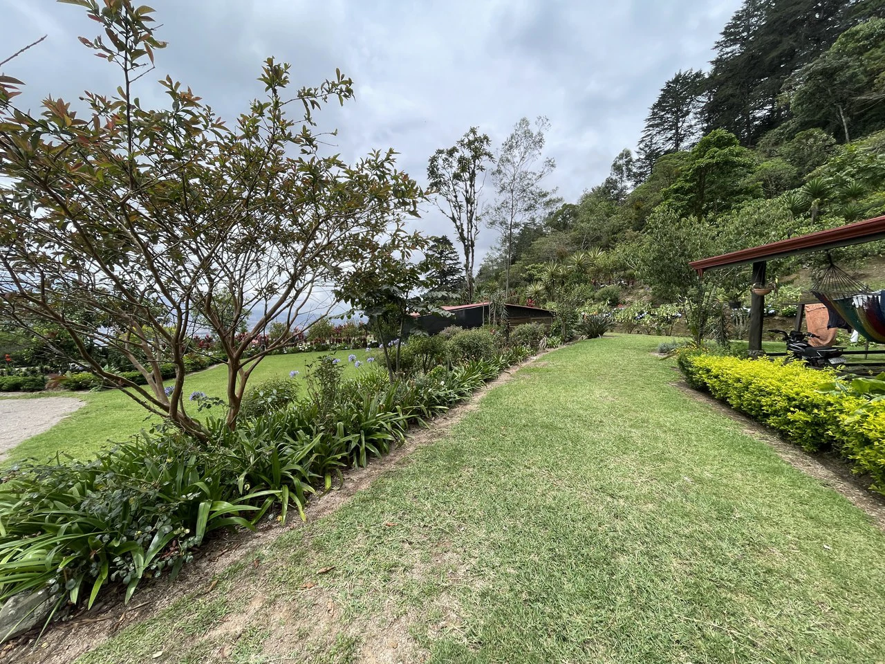 Cartago, gourmet coffee plantation: Charming Coffee Retreat Home with Stunning Views and Gourmet Coffee Plantations - Gallery image 33