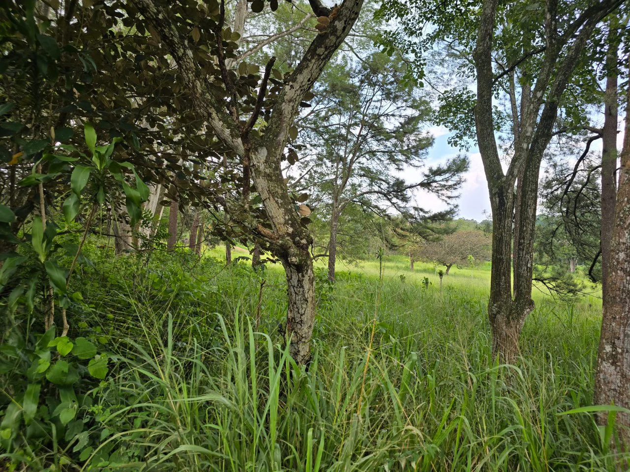 Land for sale in Residencial Montisel - Gallery image 7