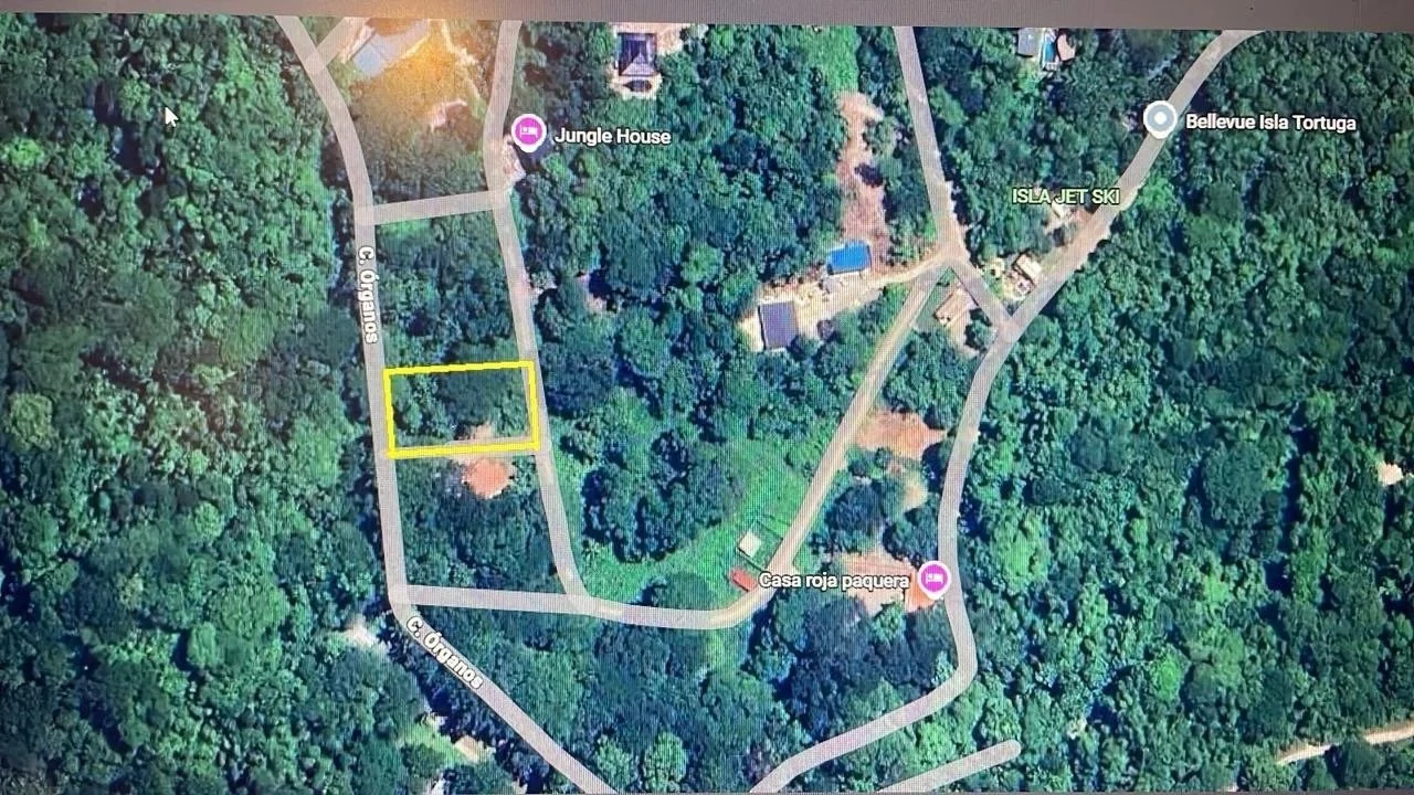 1,000 m² (0.25 acres) BEACHSIDE LOT. $75,000 USD Lot for Sale in Playa Órganos, Costa Rica