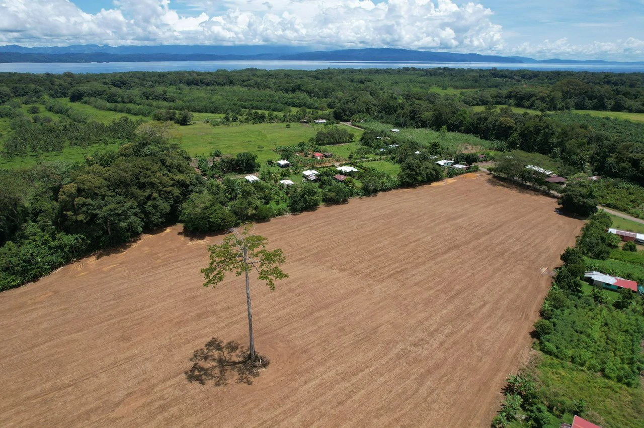 Finca La Palma, Puerto Jimenez: Excellent location ideal for development - Gallery image 9