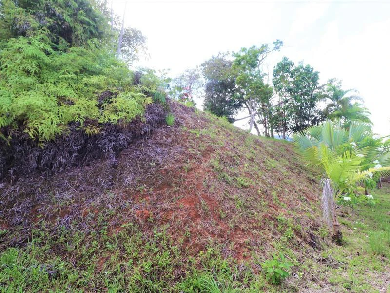 Captivating 3.15-Acre Property: Huge Pricedrop! Firesale Oceanview Lot in Tres Rios - Gallery image 23
