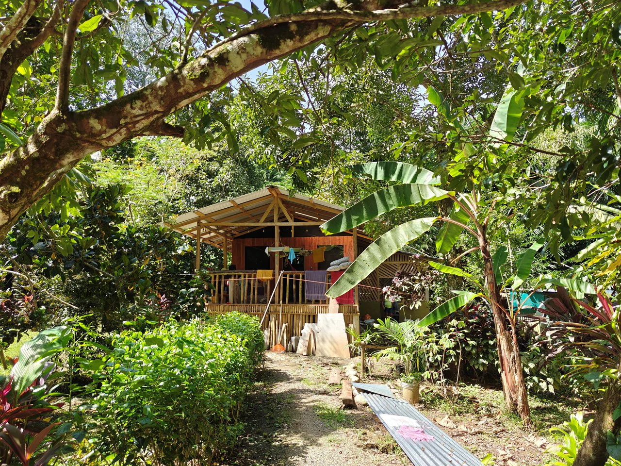 61,618m² of Land near Cahuita: With Existing Infrastructure and Ocean View - Gallery image 8