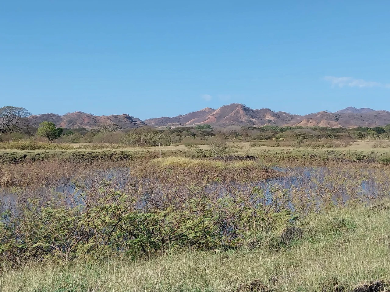 Bonita Finca de 187 Acres / 75 Ha. con Pozos y Ojo de Agua en Filadelfia - Costa Rica: Countryside, Lakefront and Riverfront Agricultural Land For Sale in Fildelfia - Gallery image 5