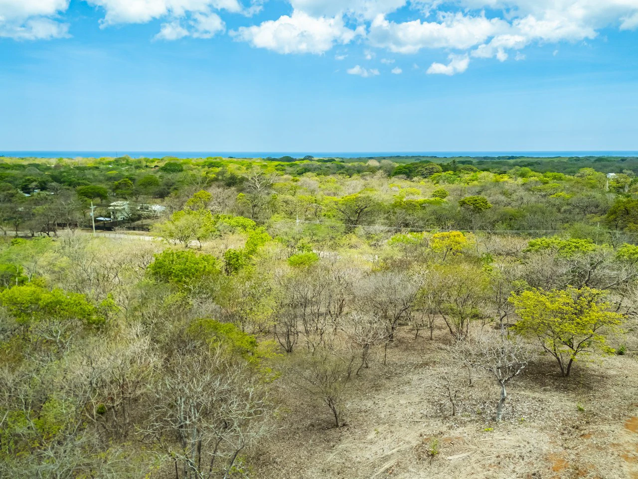 Pura Jungla Lots: Expansive Lots with Water Availability in Los Pargos - Gallery image 8