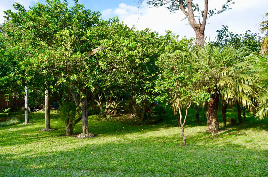 Spectacular 4BR House for sale in San Rafael - Heredia, ideal for a large family, or for those looking for a rental income option! - Gallery image 15