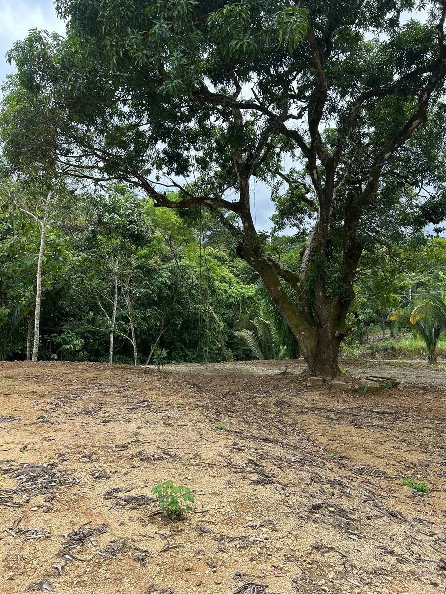 River Frontage Lot For Sale in Costa Rica Residential & Commercial Zoning - Gallery image 15