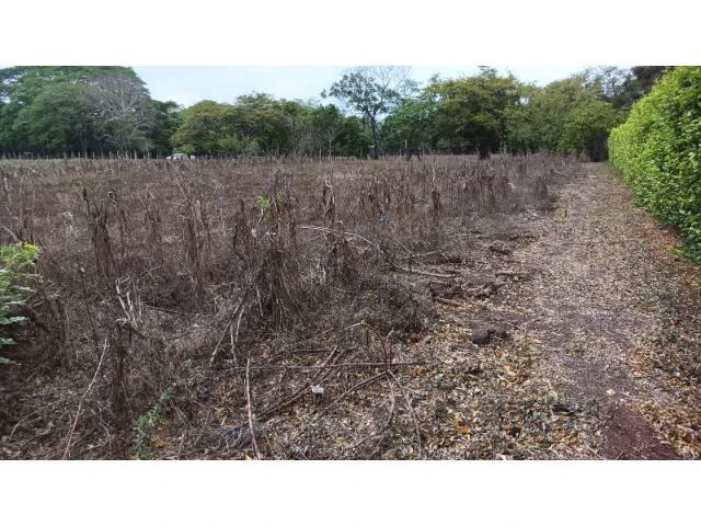 Amazing building property for sale 5 minutes away from Liberia center and 2 minutes walking to the Colorado River - Gallery image 3
