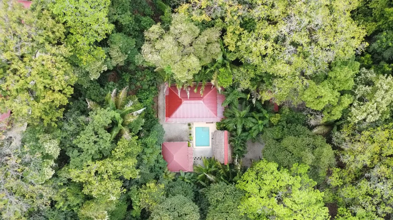 Rancho Tranquilo - A Tropical Home with Pool and Guest Casita Near Playa Sámara: Near the Coast House For Sale in Sámara - Gallery image 3