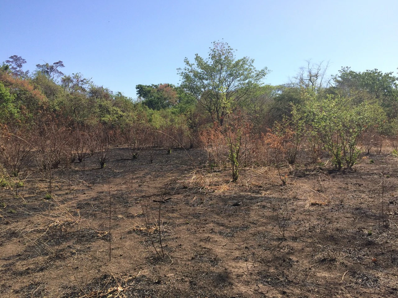 Large property, close to Playas del Coco - Gallery image 4