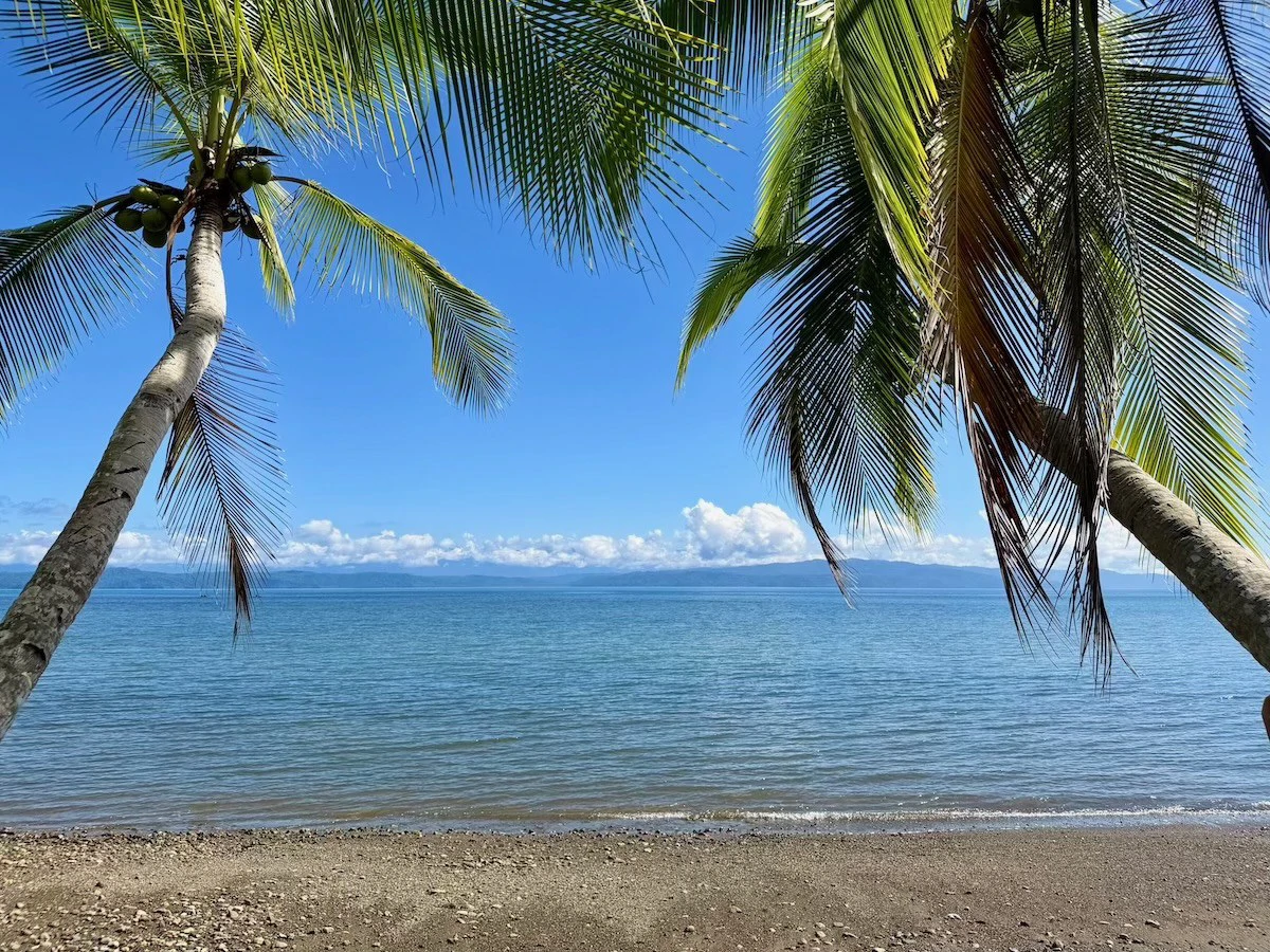 Osa Peninsula Turnkey Property Near Golfo Dulce Beach - Gallery image 36