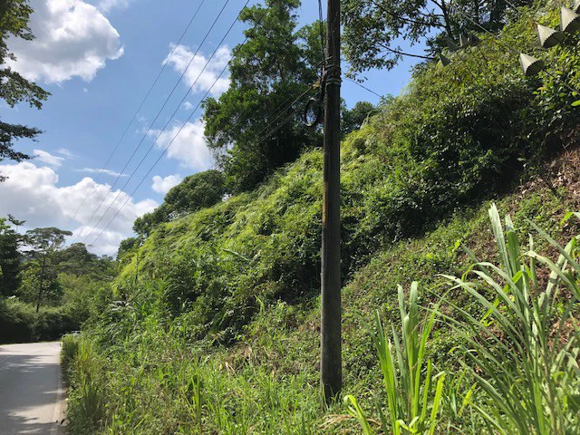 6.5 ACRES – Space To Grow, Build & Thrive, Close To The Beach & Commercial Potential Road Frontage!!!!!: Mountain and Countryside Development Parcel For Sale in Platanillo de Dominical - Gallery image 21