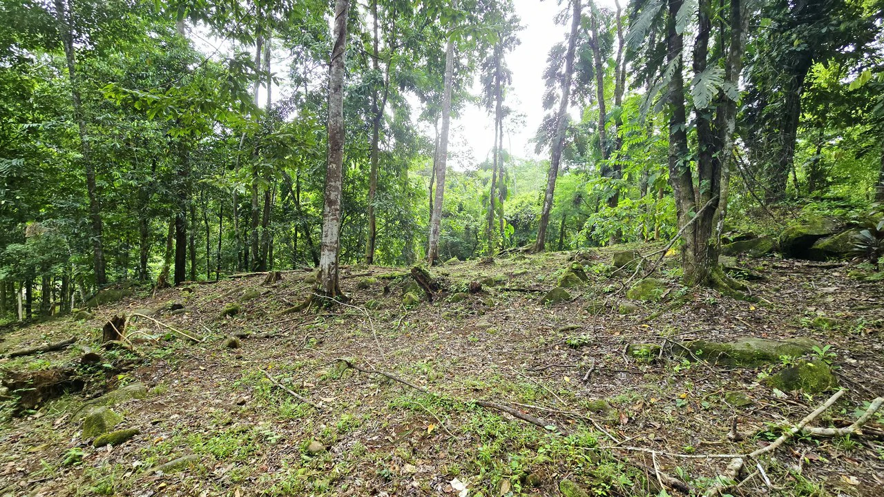 Near the Coast Home Construction Site For Sale in Uvita - photo 11