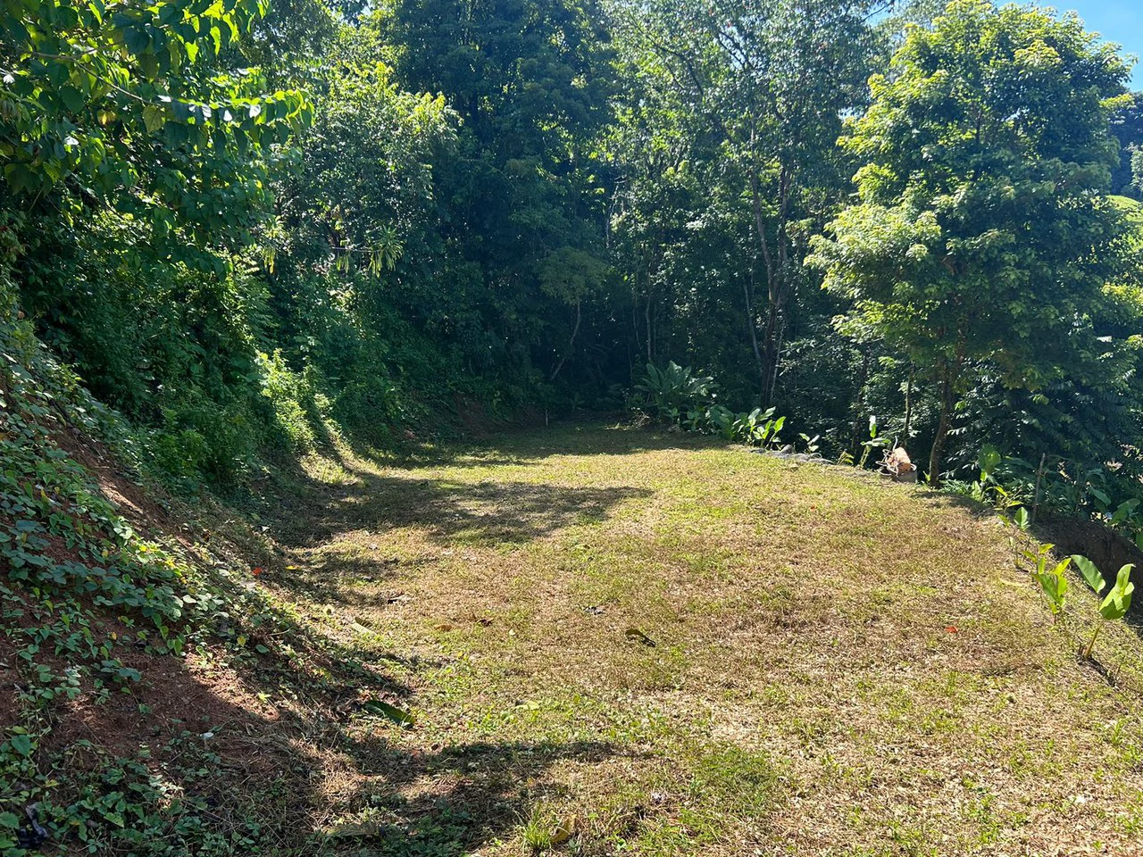 Reasonable Lot for sale in Uvita - Gallery image 10