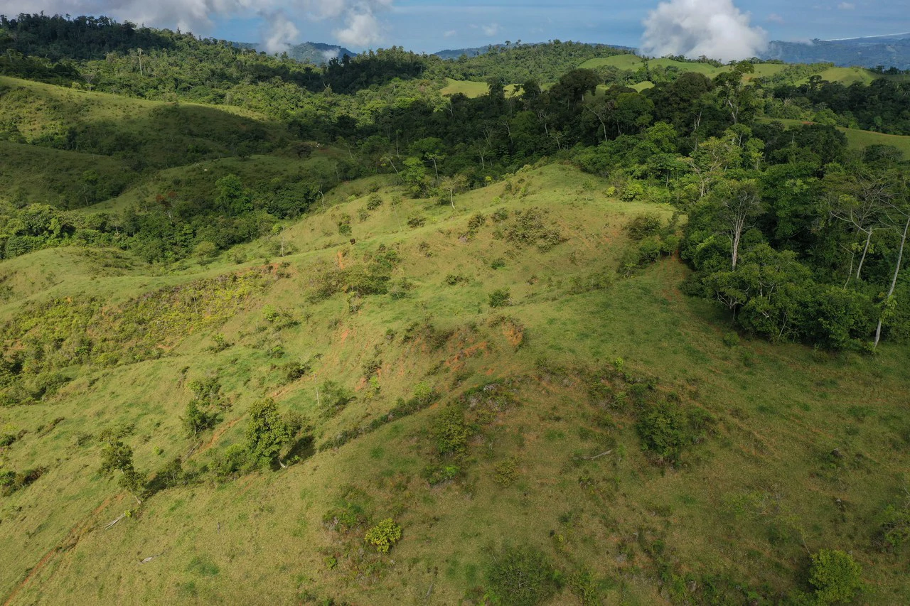 47 Acre Off Grid Ranch with Ocean & Mountain Views San Lorenzo Perez Zeledón - Gallery image 5
