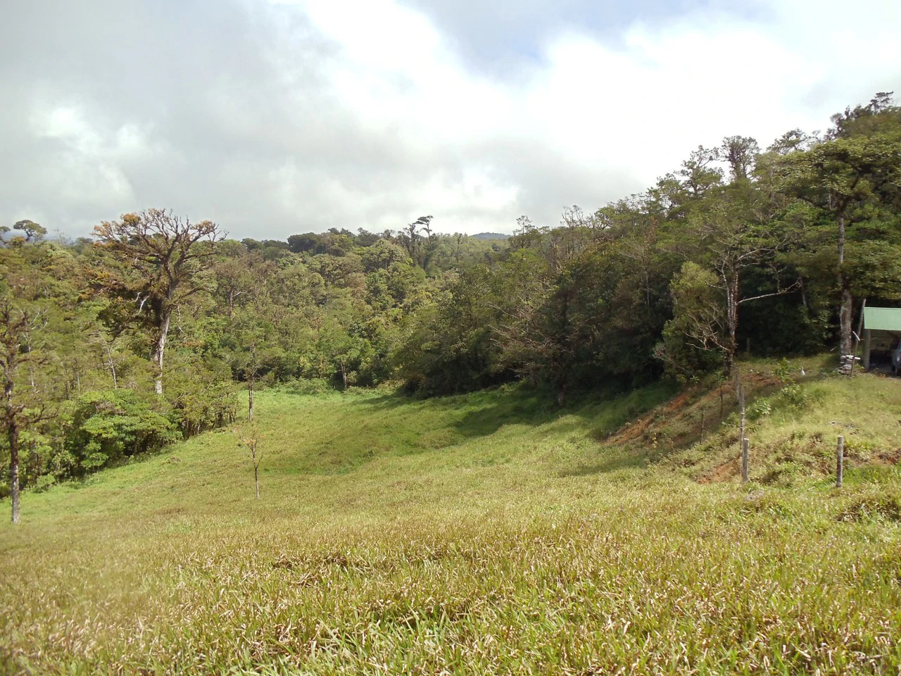 Fantastic property near Biological Reserve - Gallery image 17