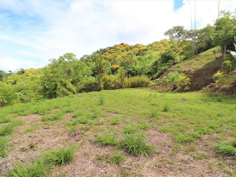 Captivating 3.15-Acre Property: Huge Pricedrop! Firesale Oceanview Lot in Tres Rios - Gallery image 25
