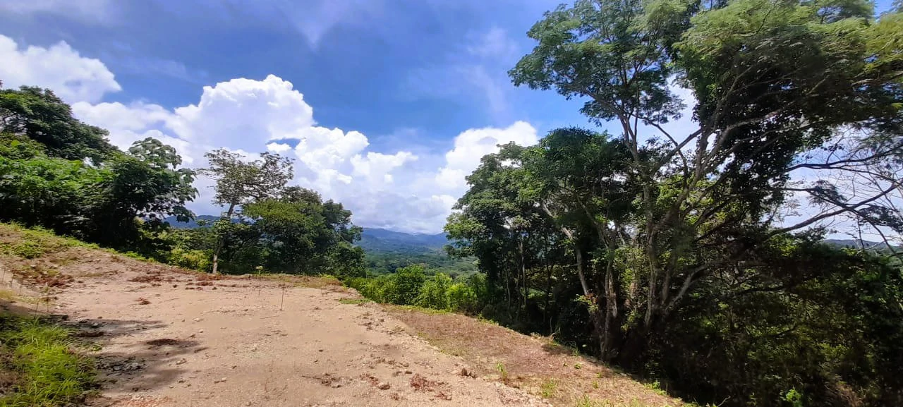 Buena Vista Ocean View Lot: Countryside and Mountain Home Construction Site For Sale in Buena Vista - Gallery image 7