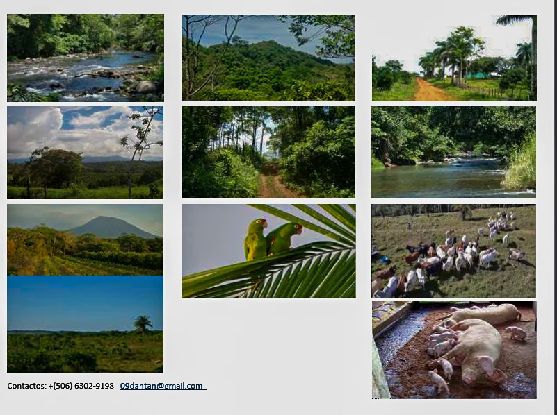 Discover Your Dream Property in Santa Cecilia, Guanacaste