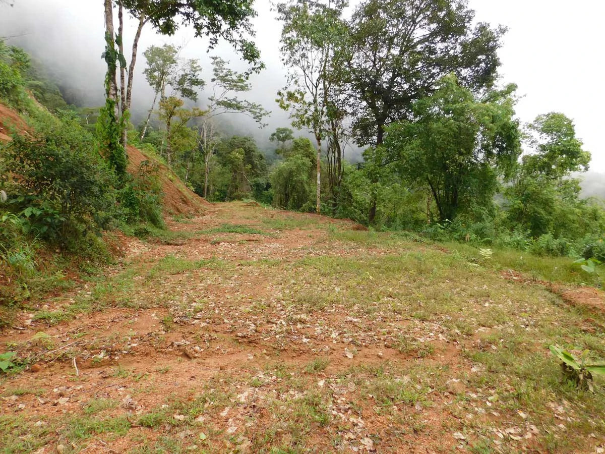 Finca Tesoro Escondido - The Jewel of Uvita - Gallery image 7