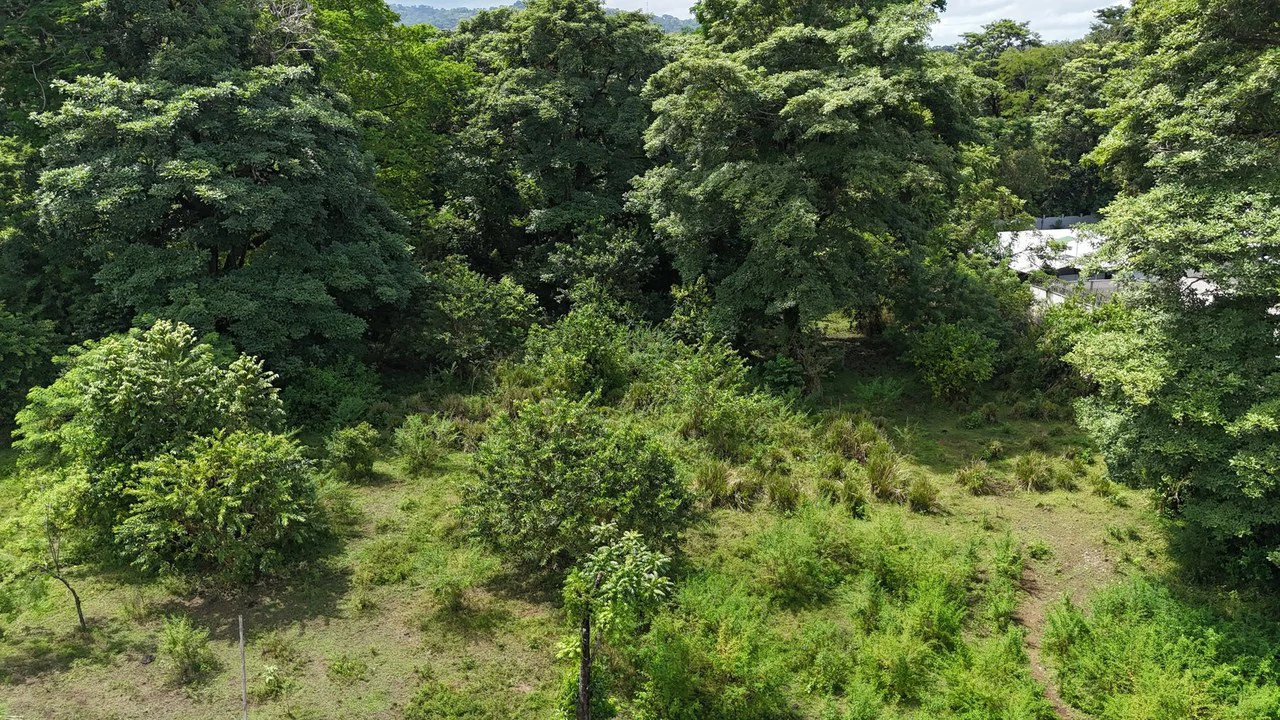 Walk to the beach, Developement Land, Mini Ranch, Central Uvita - Gallery image 11